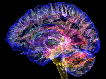 被操的视频大脑植入物有助于严重头部损伤恢复